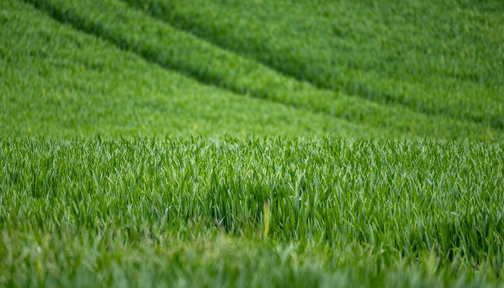 Цените на имотите в Русенско, обявени на търг, са между