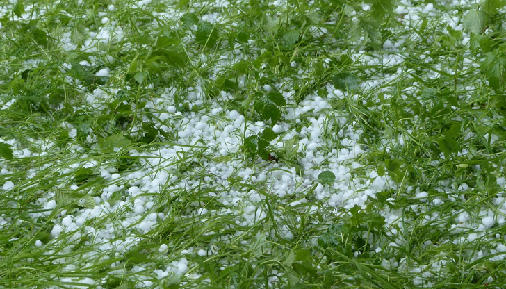 Ледени късове с големина на лешник валяха в Сливо поле,