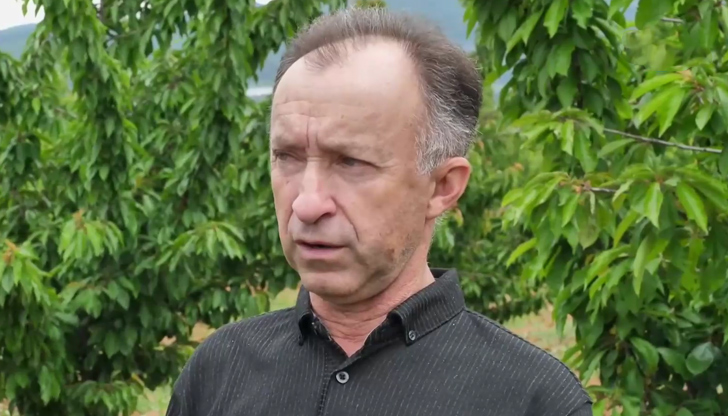 Двойно предизвикателство за българските овощари - силните пролетни студове и