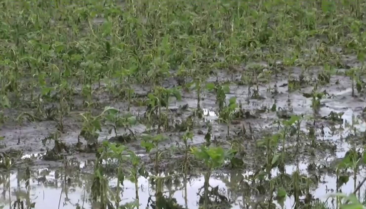 Керемиди, покриви и стъкла на автомобили са пострадали при невижданата