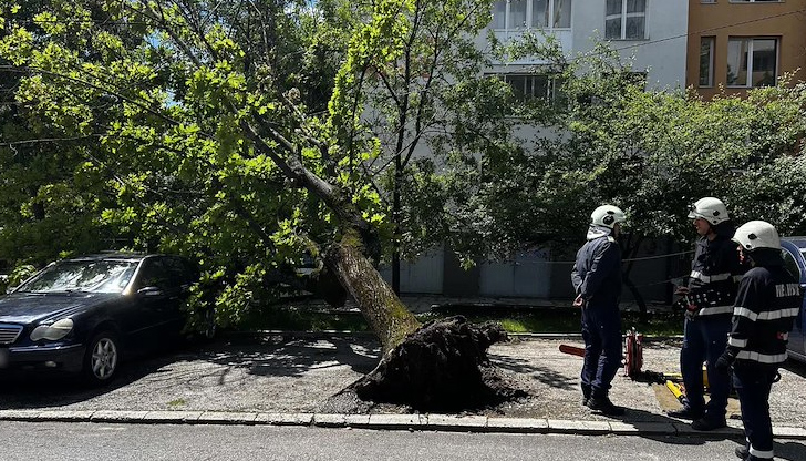 Поривите достигнаха 58 километра в час, за региона е в