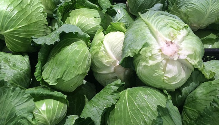 С правилен подход можем да се радваме на богата реколта