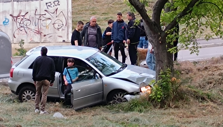 Автомобил помете контейнер и се заби в дърво в Дружба