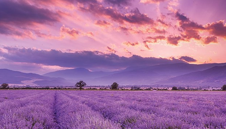 Ребрандирането е част от стратегия за модерно представяне на страната