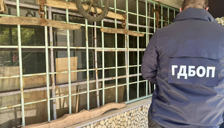 Над 350 антични предмета са иззети при операцията във Варна,