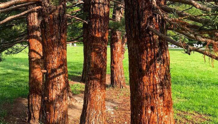 Отворено е и трасето за велосипедиститеВитоша официално отваря летния си