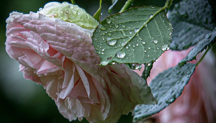 През последната седмица на месеца страната попада под фронтовете на