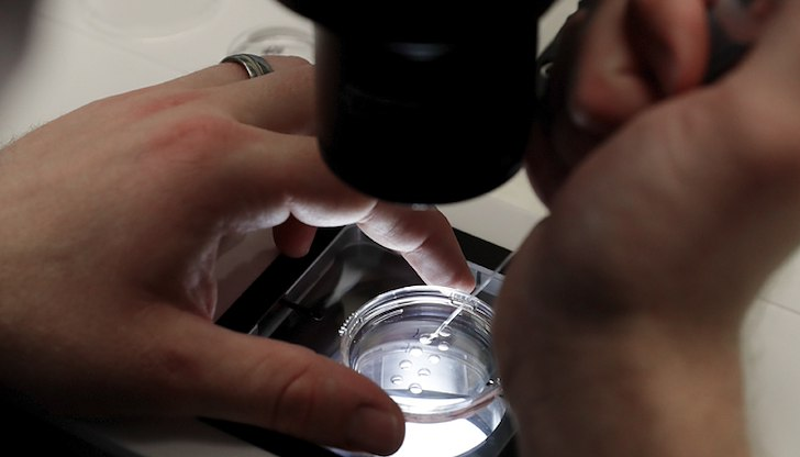 Мутация в гена TP53 е открита при репродуктивен материал, използван