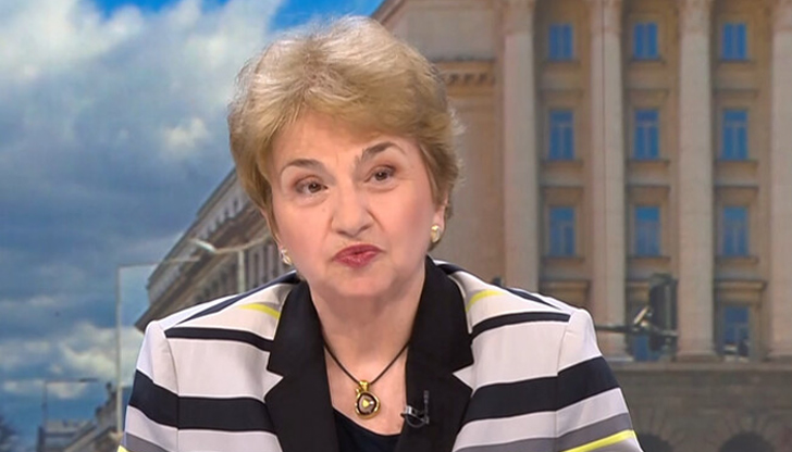 Бившият посланик в Берлин посочи, че германското общество е разделено