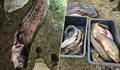 Задържаха трима бракониери, ловили риба с ток в Дунав