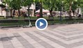 Споделените тротинетки изчезват от улиците на Русе