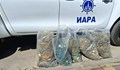 ИАРА иззе 500 метра незаконни калкански мрежи