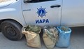 ИАРА извади незаконни мрежи за улов на калкан в Черно море