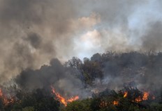 Синдикатът призовава гражданите да избягват всякакъв открит огън на откритоС