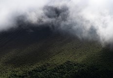 Ветровито време и мъгли на Витоша облаците се сгъстяватВъв високите