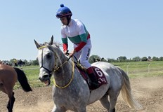 Над 60 коня от елитни породи се включиха в надпреварата