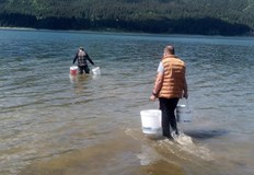 Над 42 проверки извършиха от ИАРА Пазарджик за седмица