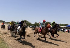 Елитни коне ще се състезават в пет категорииРусенското село Сандрово