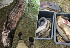 Електрическото устройство е предадено на служителите на ИАРАТрима мъже бяха