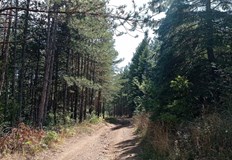 Полиция и спасителен отряд издирват 60 годишния мъжПолицията в град Перник