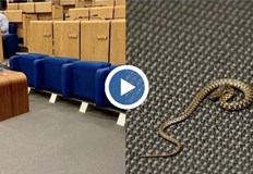 Властите разпоредиха пълна проверка на сградата за да гарантират безопасни