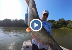 Тео от канала DN Fishing се обезсърчи от масовия улов