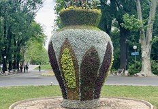 Цветната емблема на Русе отново привлича погледите на минувачитеЕмблематичната за