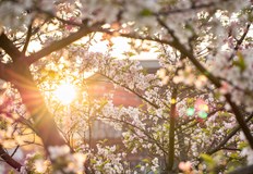 Изолирани краткотрайни валежи са възможни в планинските и източните райони