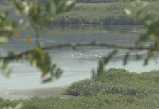 Водата достига едва 15 сантиметра на местаНиското ниво на водата