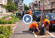 Специални сакове ще поддържат влагата за новозасадените фиданкиЗа първи път