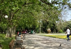 Сигнали до 112 и Общината не водят до действия а