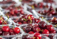 Местните производители говорят за нулева година а вносните плодове се