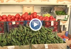 Производители на домати от Кресна спират дейността си заради ниските