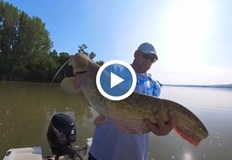 Методът кльонк отново доказа ефективността си при риболов на сом