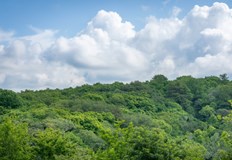 Лесовъдите от Държавно ловно стопанство Дунав и ДГС Бяла създадоха