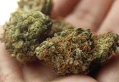 19 годишният младеж е задържан за срок до 24 часаНа 6