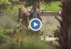 Задържаният мъж е имигрант и ветеран от американската армияМорските пехотинци