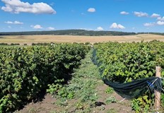 Напоителни системи ще получават компенсация от държавния бюджет като обществено икономическа