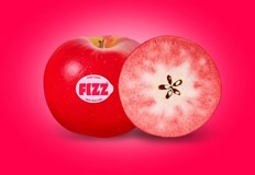 Новозеландските селекционери представиха новия сорт PremA021Новозеландската компания Prevar обяви пускането