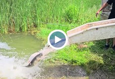 Над 60 души събраха 3500 лева за благотворителната инициатива край