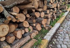 70 годишният колоездач се е ударил в купчина дърва и е