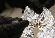 Заловените твърдят че наркотикът е за лична употребаДвама мъже са