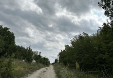 Над 50 фотокапана не засякоха движение експертите преместиха техника към