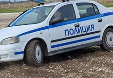 Семейство е потърсило помощ от Втора САГБАЛ Шейново Столичната дирекция на