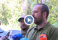 Жена съобщила на полицията че вчера сутринта хищникът преминал между