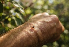 Лекарка от същата болница също се разболя но състоянието й