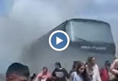 Благодарение на бързата реакция на шофьора и учителите всички деца