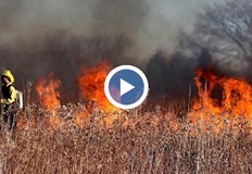 Огънят засяга близо хиляда декара а вчерашният пожар изпепели 4000