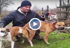 По случая има задържанДевет дни продължава издирването на 53 годишния Коци