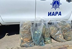 Нарушителят не е установенПатрулен екип на Изпълнителна агенция по рибарство